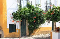 339-Obidos,29 agosto 2012